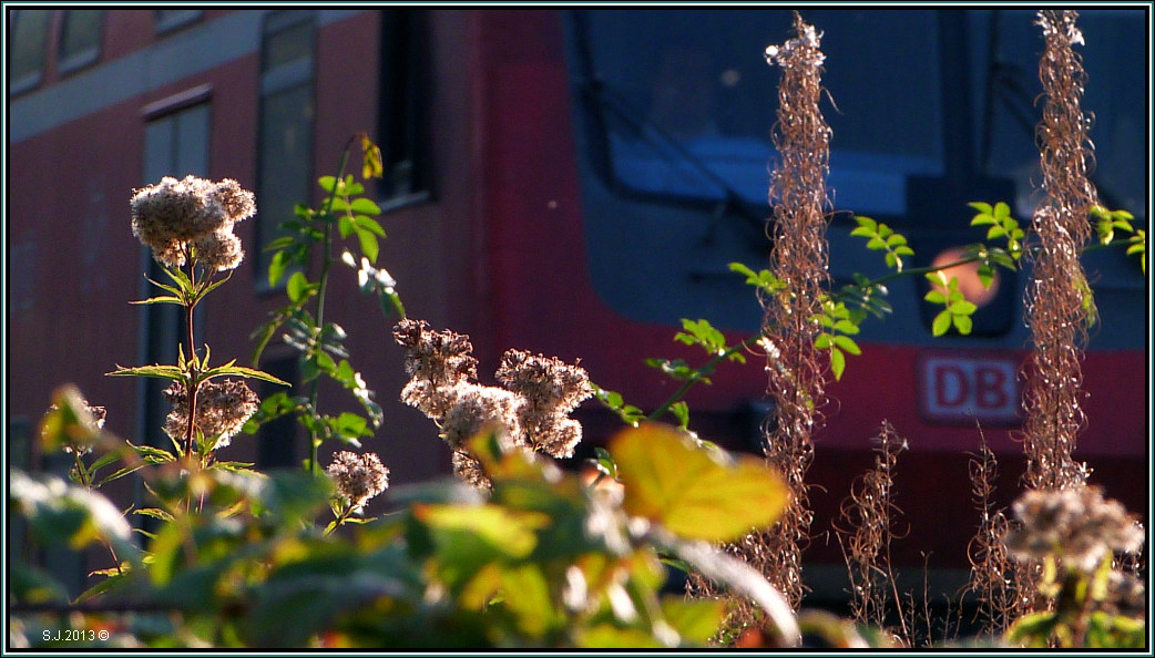 Die Farben der Natur stehen nun eindeutig im Zeichen Herbst.Stimmungsmssig passt das DB Rot vom Wupperexpress ja ganz gut in die Szenerie. Rimburg Anfang Oktober 2013.