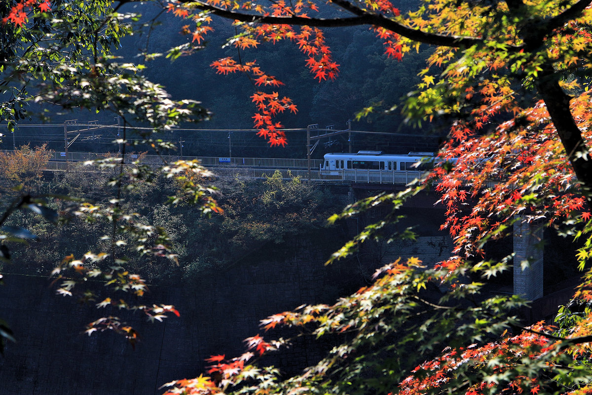 Die Haltestelle Hozukyô an der Strecke von Kyôto ins Hinterland. Ein S-Bahnzug Serie 221 fährt durch. 8.November 2018 