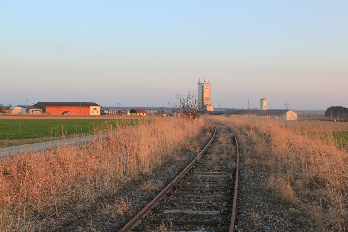 Die letzten Meter der ehemaligen Lokalbahn Göpfritz - Raabs an der Thaya dienen im Prinzip als Rangiergleis, hier bei Km 1,00 Blickrichtung Göpfritz, März 2014