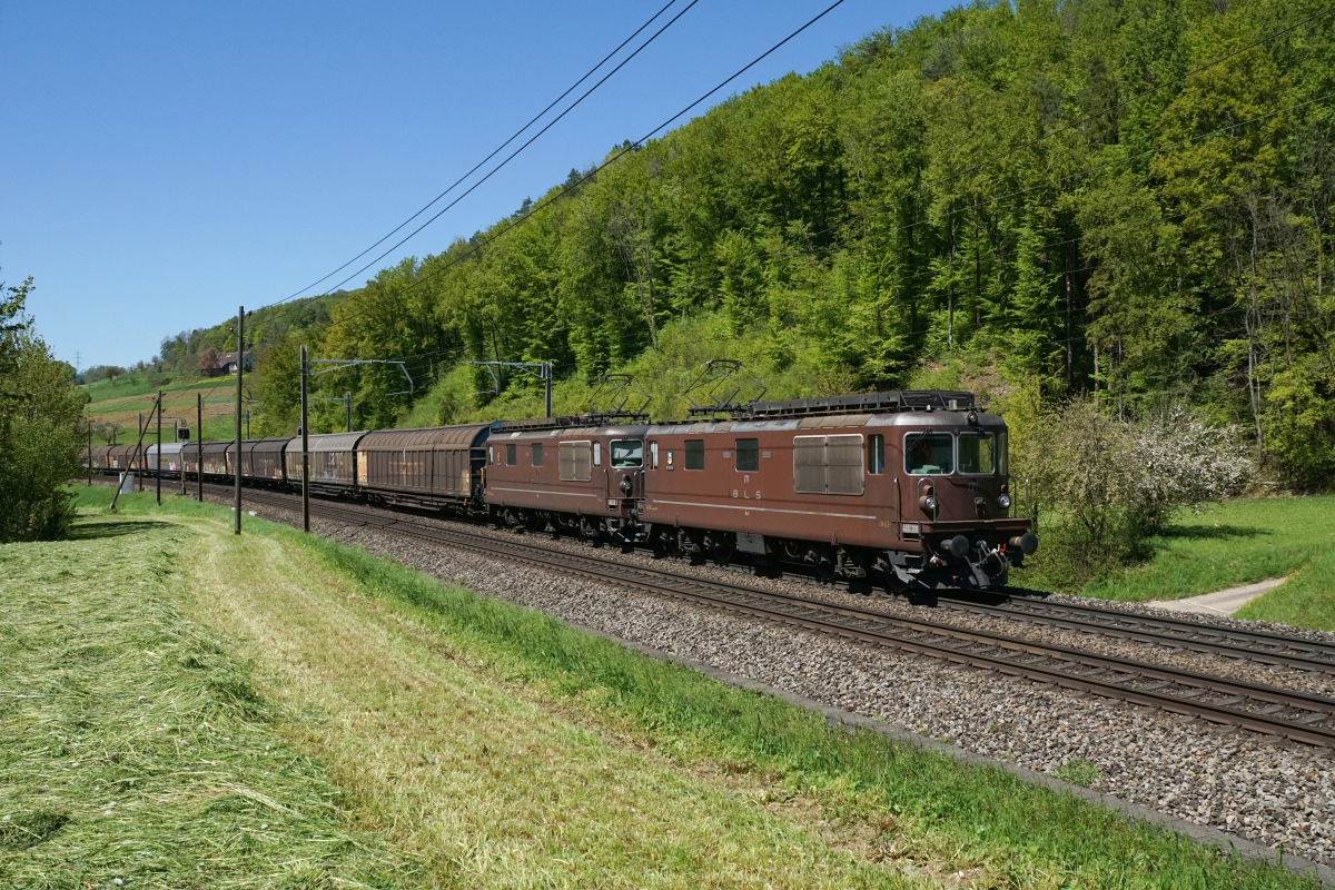 Die Mehrheit der braunen BLS-Re 4/4 wird wohl auch nicht mehr allzu lange auf dem Schweizer Schienennetz anzutreffen sein. Umso erfreuter war ich, dass ich am 05.05.2016 gleich zwei mit diesen wunderschönen Loks bespannte Züge aufnehmen konnte. Zuerst kamen die Re 4/4 171 und die Re 4/4 176 angerollt (Tecknau, 05.05.2016).