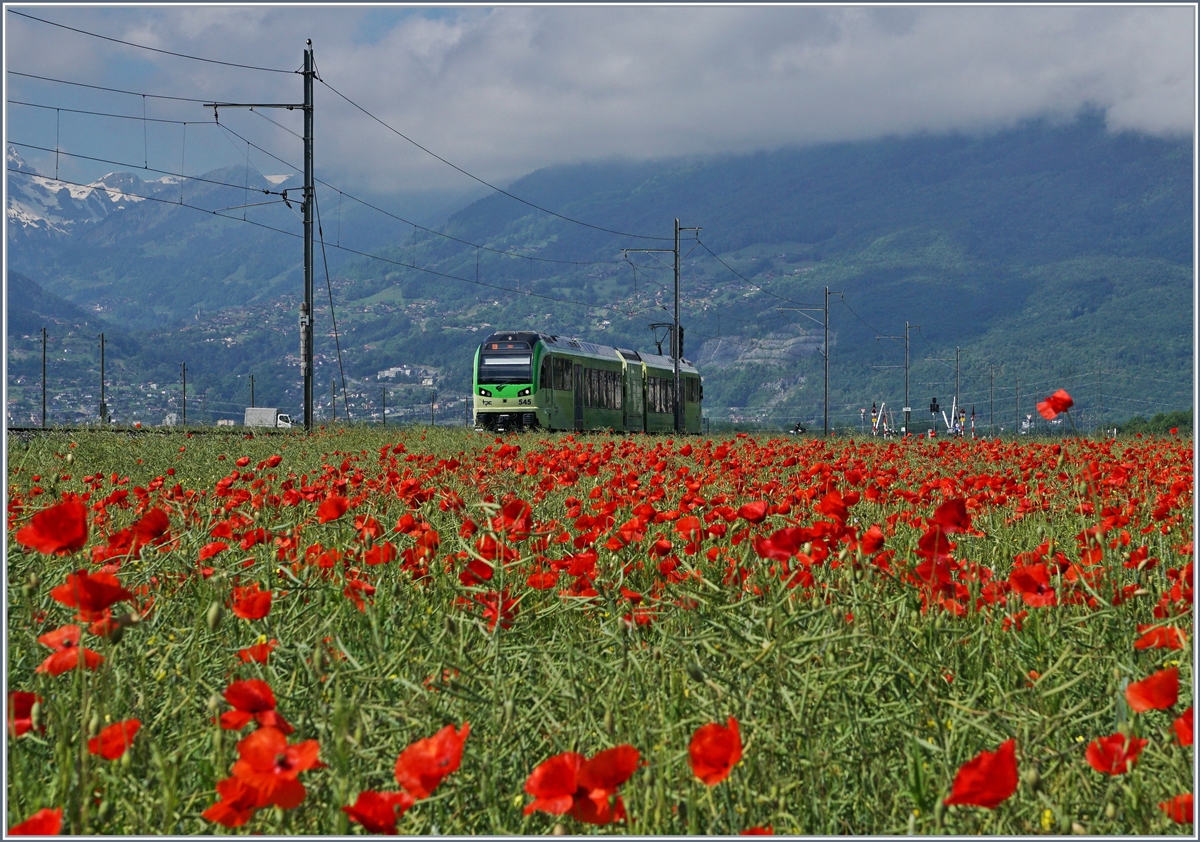 Die Mohnblumen reizten, nicht nur ein Bild zu erstellen, das eine oder andere auszuprobieren: Dieses Bild zeigt viele Mohnblumen (und Landschaft) aber wenig Zug.
Der TPC Bhe 2/6 545 auf dem Weg nach Aigle in der Rohne-Eben kurz vor Villy.
24. Mai 2018