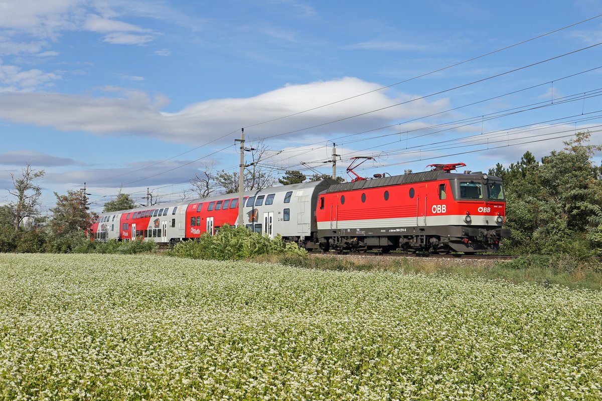 Die momentan neueste 44er,die 274,die am 4.8.17 aus der HW-Linz austrat,befindet sich am 15.9.17 mit R-2243 zwischen Felixdorf und Theresienfeld.