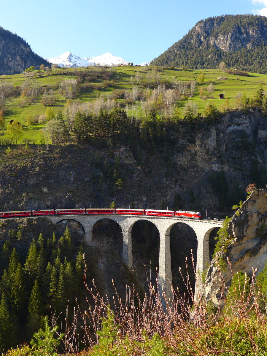 Die im original rot verkehrende Ge 4/4 III 648  Susch  schleppt den RE 1153 (Chur - St.Moritz) die Albulabahn hinauf.
(05. Mai 2016)