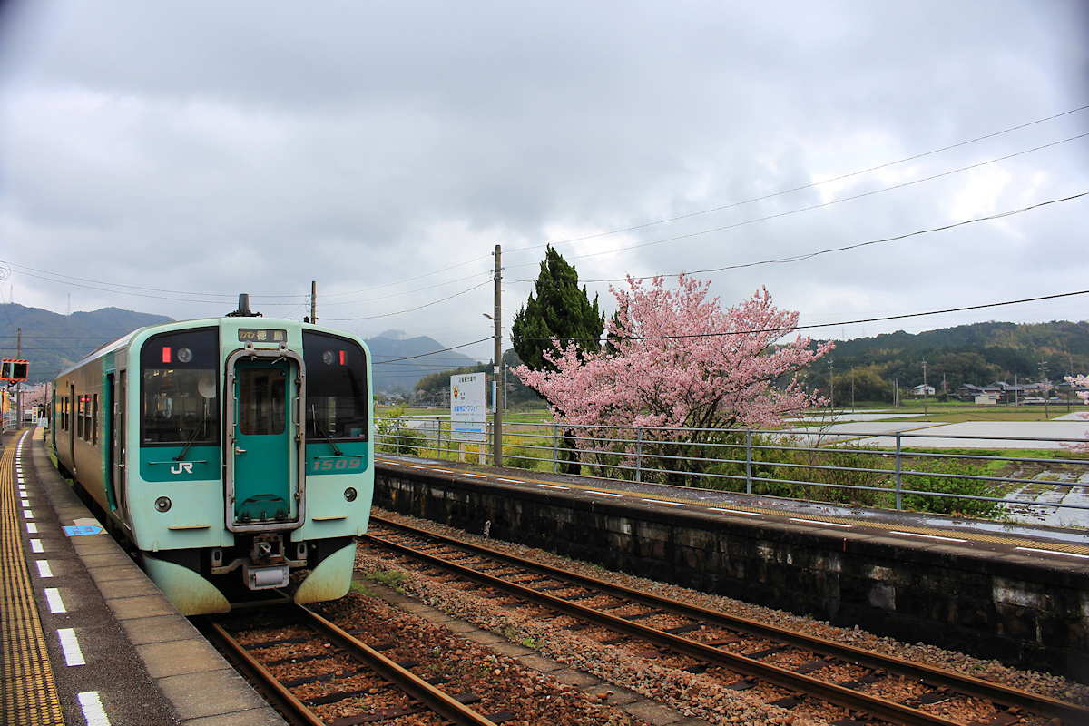 Die Ostküstenlinie der Insel Shikoku, Triebwagen 1509 in Kuwano. 3.April 2015. 