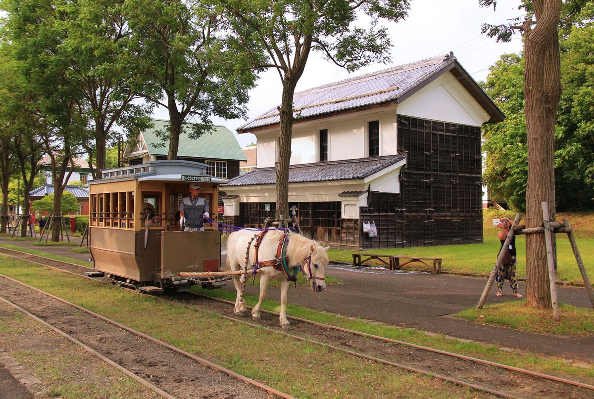 Die Pferdebahn des Freilichtmuseums von Hokkaidô bei Sapporo: Ein Zug in voller Fahrt in der Hauptstrasse, 31.Juli 2016. 