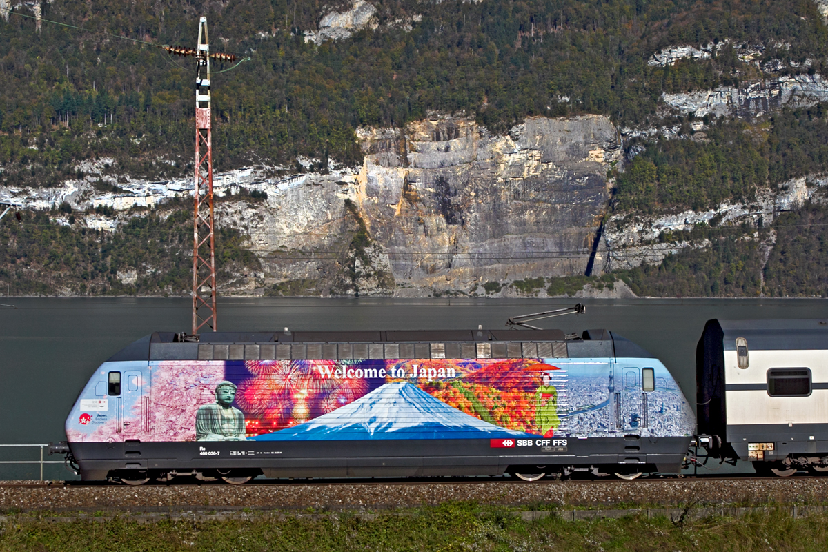 Die Re 460 036-7 mit der Werbung für Japan zieht bei Mühlehorn einen Ic aus Chur Richtung Zürich HB.Bild vom 27.10.2014