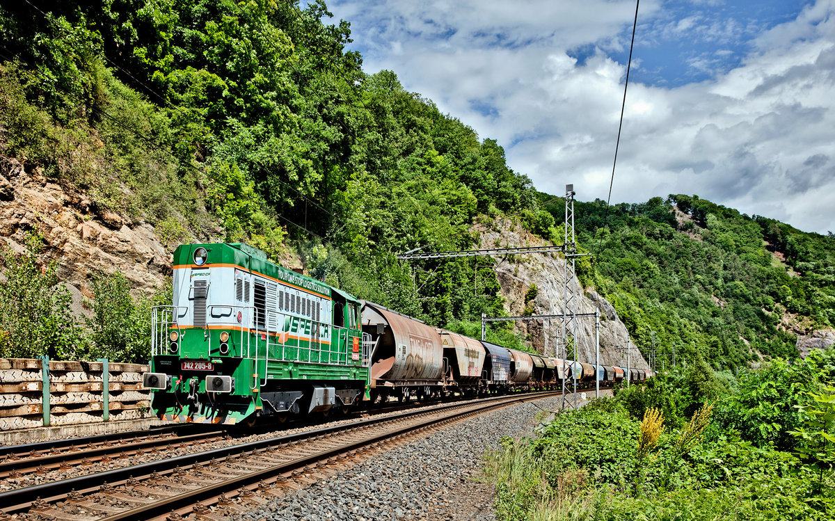 Die Spedicia Diesellokomotive 742 205-8 zieht in einen Getreidezug nach Süden in Malě Březno nad Labem vorbei.Bild vom 30.6.2017