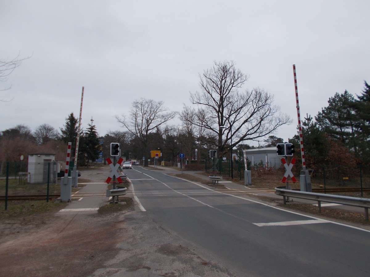 Die Straße nach Korswandt überquert zwischen den Bf und der Station Grenze die UBB Strecke in Ahlbeck.Aufnahme am 13.März 2016.