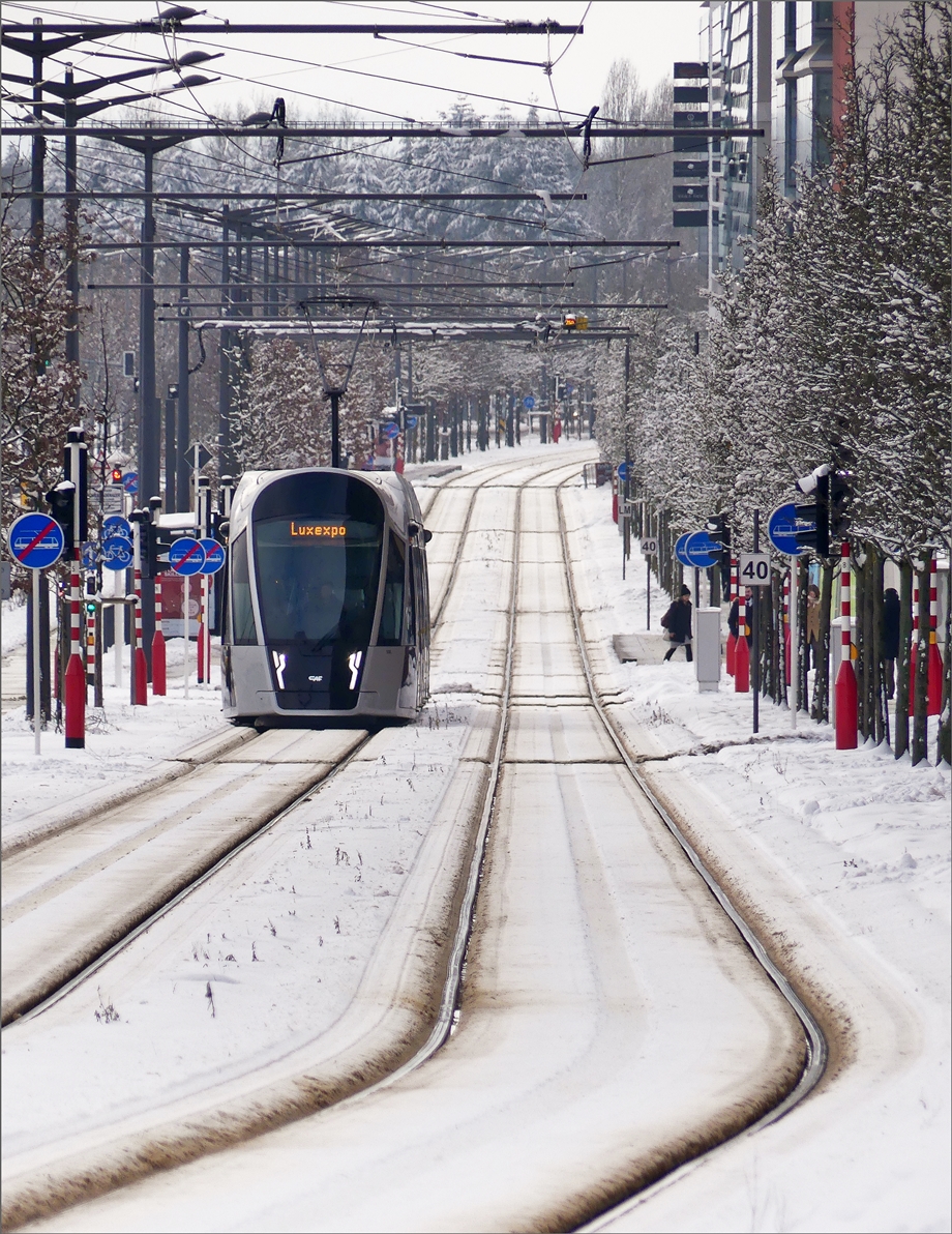 Die verschneite Tramstrecke in Luxembourg-Kirchberg eignete perfekt fr einen Teleschuss von einem CAF Urbos von LUXTRAM S.A., welcher am 31.01.2019 die Avenue John F. Kennedy zwischen den Stationen Nationalbibliothik/Bibliothque Nationale und Alphonse Weicker durchfhrt. (Jeanny) 