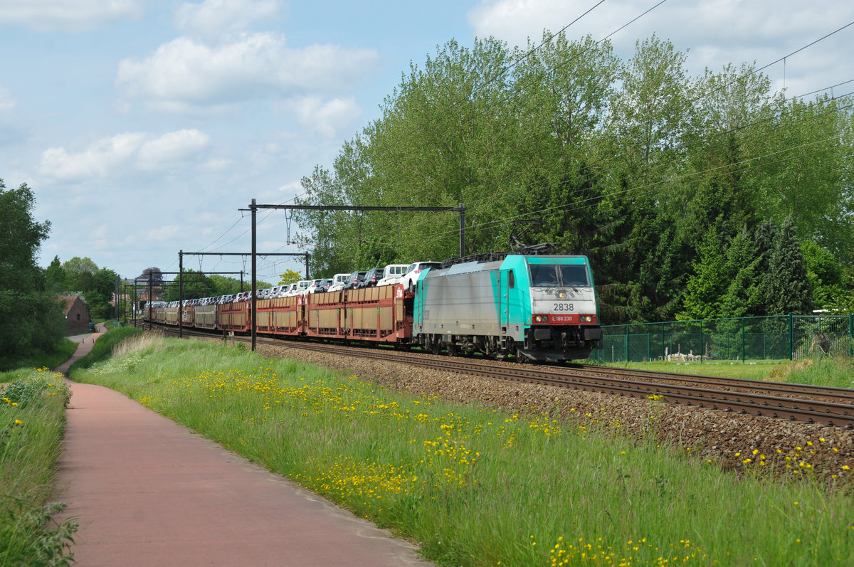 Drei Autozüge innerhalb einer Stunde. Abschließend zog Cobra-Lok 2838 (186 230) einen Toyota-Zug gen Deutschland. Aufgenommen am 21/05/2016 in Hoeselt.