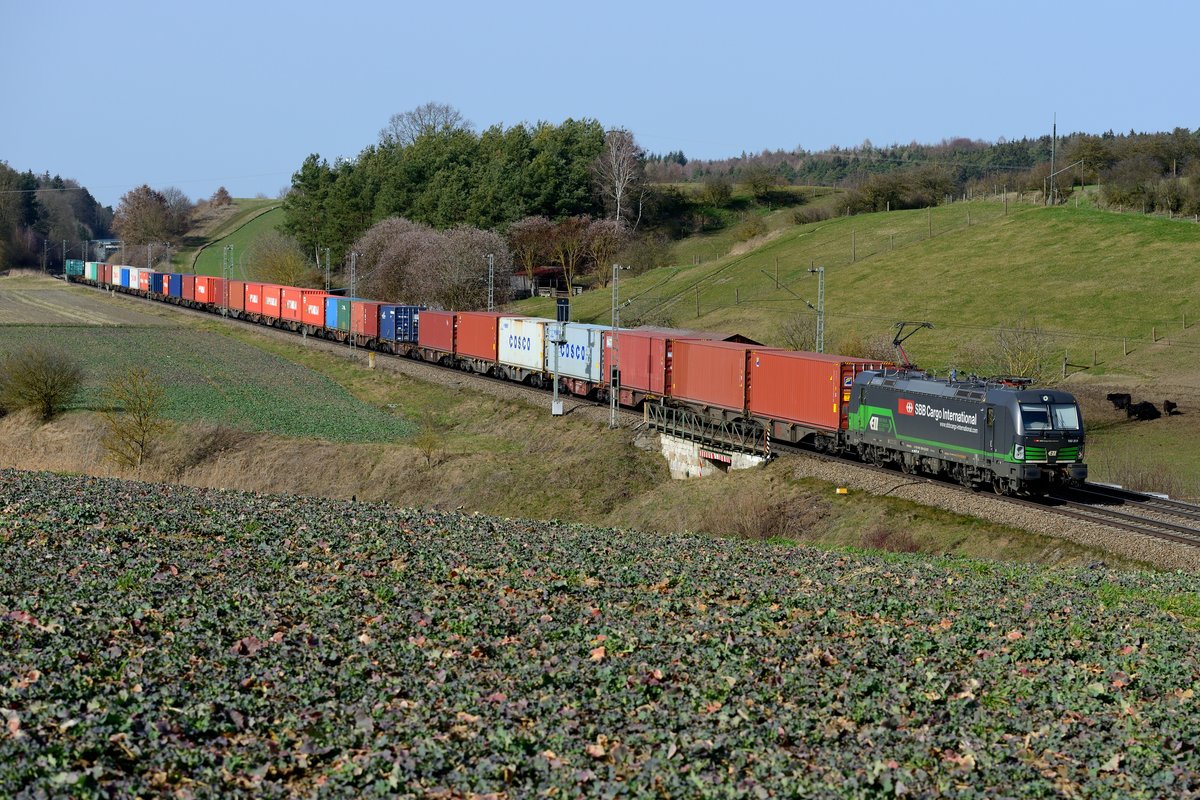 Dritter Güterzug zur Mittagszeit in Richtung München am 22. Februar 2016 war der DGS 91103 von Nürnberg Hafen nach München Riem. Geführt wurde der Containerzug von dem ELL Vectron 193 209. Die Rindviecher am rechten Bildrand nahmen die Vorbeifahrt des Zuges gelassen.
