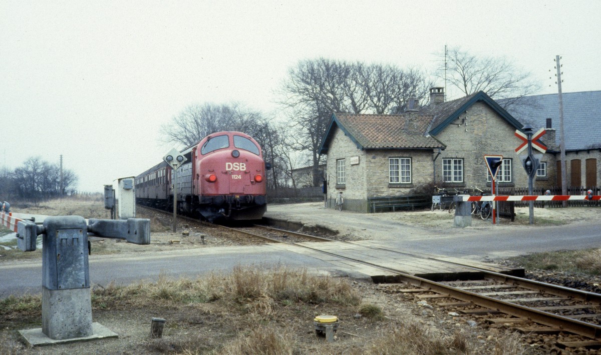 DSB: Die DSB-Diesellok My 1124 hält am 16. Februar 1982 am Haltepunkt Avnede auf der Insel Lolland. - Der Haltepunkt liegt auf der Bahnstrecke Nakskov - Maribo - Sakskøbing - Nykøbing Falster, die damals von den Zügen der LJ, Lollandsbanen, bedient wurde; einige Fahrten wurden jedoch von DSB-Zügen durchgeführt. - Heute bedienen Züge des Unternehmens Regionstog dieselbe Strecke.
