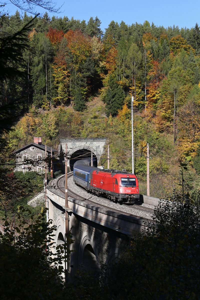 Durch einige Sträucher durch,bot sich der Blick auf den herbstlichen Höllgraben-Viadukt,der vom RJ-71 mit 1216.228 am 19.10.17 befahren wird.