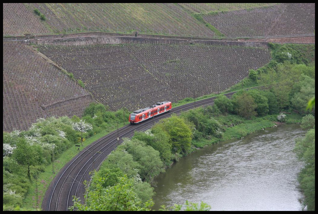 Durch die Saarschleife bei Kanzem fährt hier am 30.4.2018 ein ET 425 der DB um 12.41 Uhr nach Trier HBF.