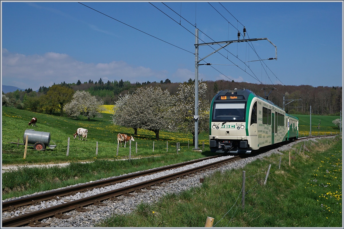 Durch die schon fast verblühte Frühlingslandschaft fahrend, erreicht ein BAM MBC Regionalzug von L'Isle kommend, in Kürze sein Ziel Apples.
11. April 2017