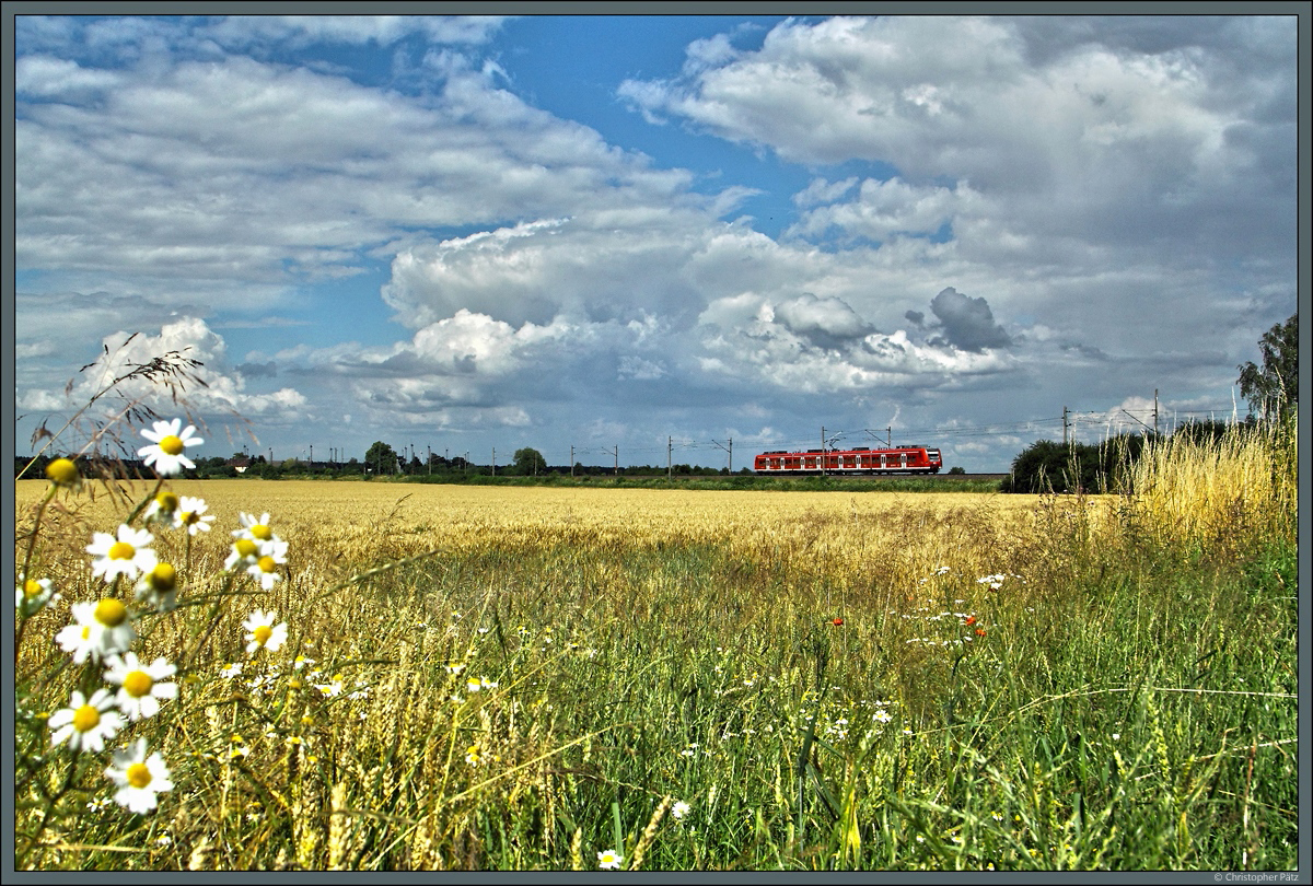 Ein 425 der S-Bahn Mittelelbe durchquert am 03.07.2016 bei sommerlichen Wetter die Felder unweit des Bahnhofs Angern-Rogätz. Ziel der S1 ist der Bahnhof Bad Salzelmen in Schönebeck.