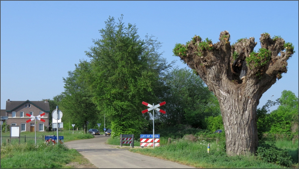 Ein Bahnübergang an der Stichstrecke zum Borner Hafen unweit von Sittard (NL),ein willkommenes Motiv am 13.Mai 2016.