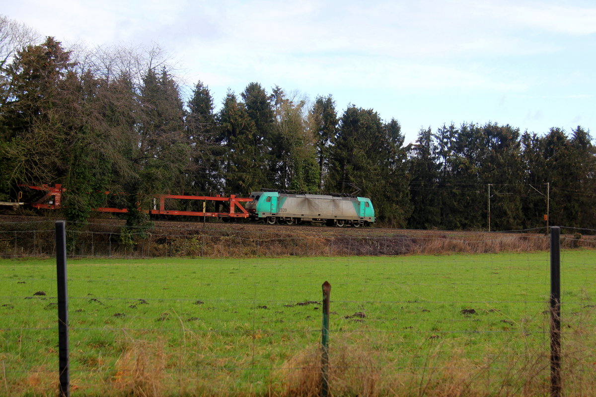 Ein Blick auf die Cobra 2839 kommt die Gemmenicher-Rampe herunter nach Aachen-West mit einem Güterzug aus Antwerpen-Noord(B) nach Köln-Gremberg(D). 
Aufgenommen an der Montzenroute am Gemmenicher-Weg. 
Bei Sonne und Regenwolken am Morgen vom 7.3.2019.