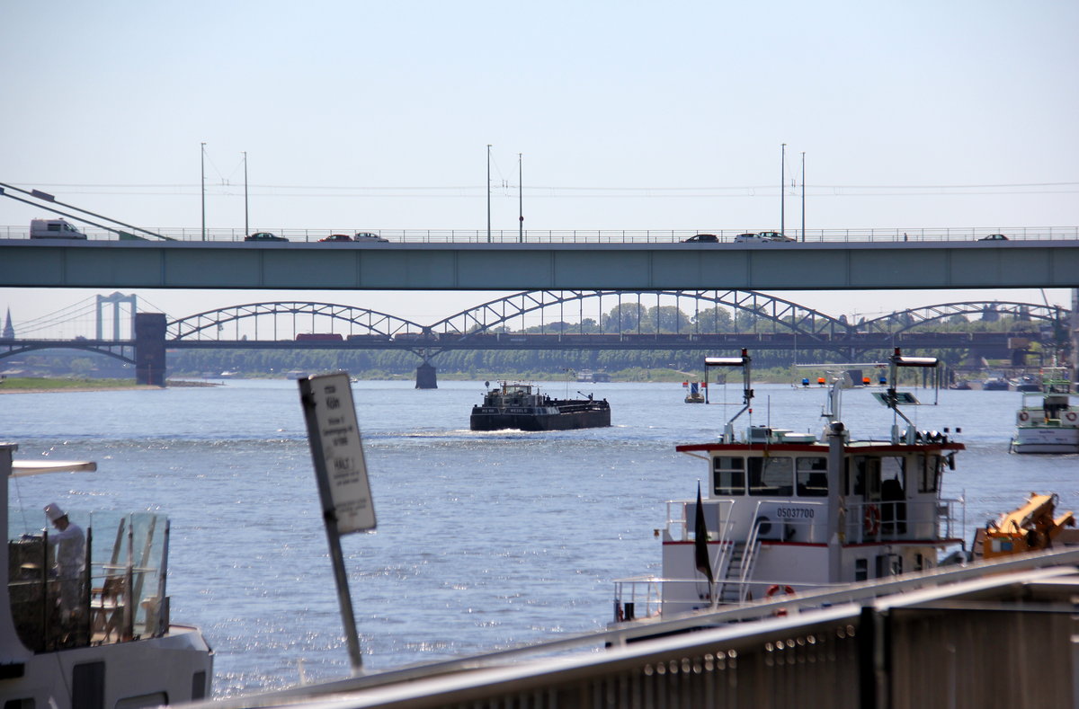 Ein Blick in Richtung Kölner-Südbrücke mit einem Güterzug in Richtung Köln-Gremberg.
Aufgenommen vom Rheinufer in Köln am Rhein.
Bei Sommerwetter am Vormittag vom 8.5.2018.