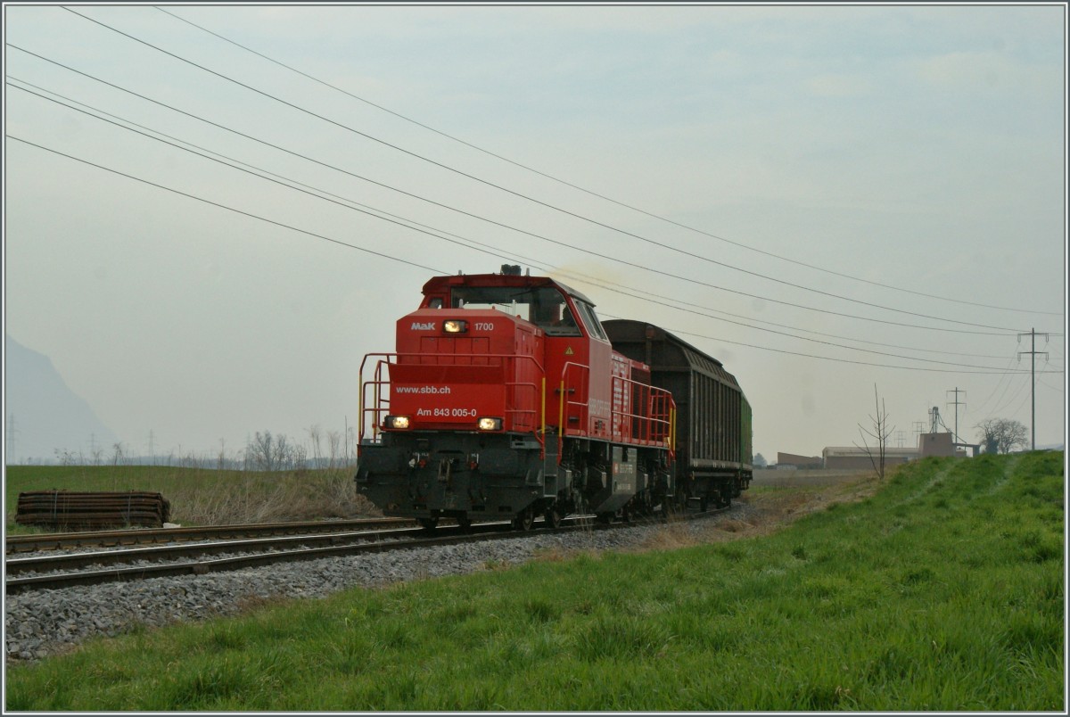 Ein eher ungewohnter Anblick in der Schweiz: eine doppelspurige, nicht elektrifizierte Strecke: Hier bedinnt die SBB Am 843 005-0 das  Tamoil  Industriegleis bei St-Triphon.
2. April 2013