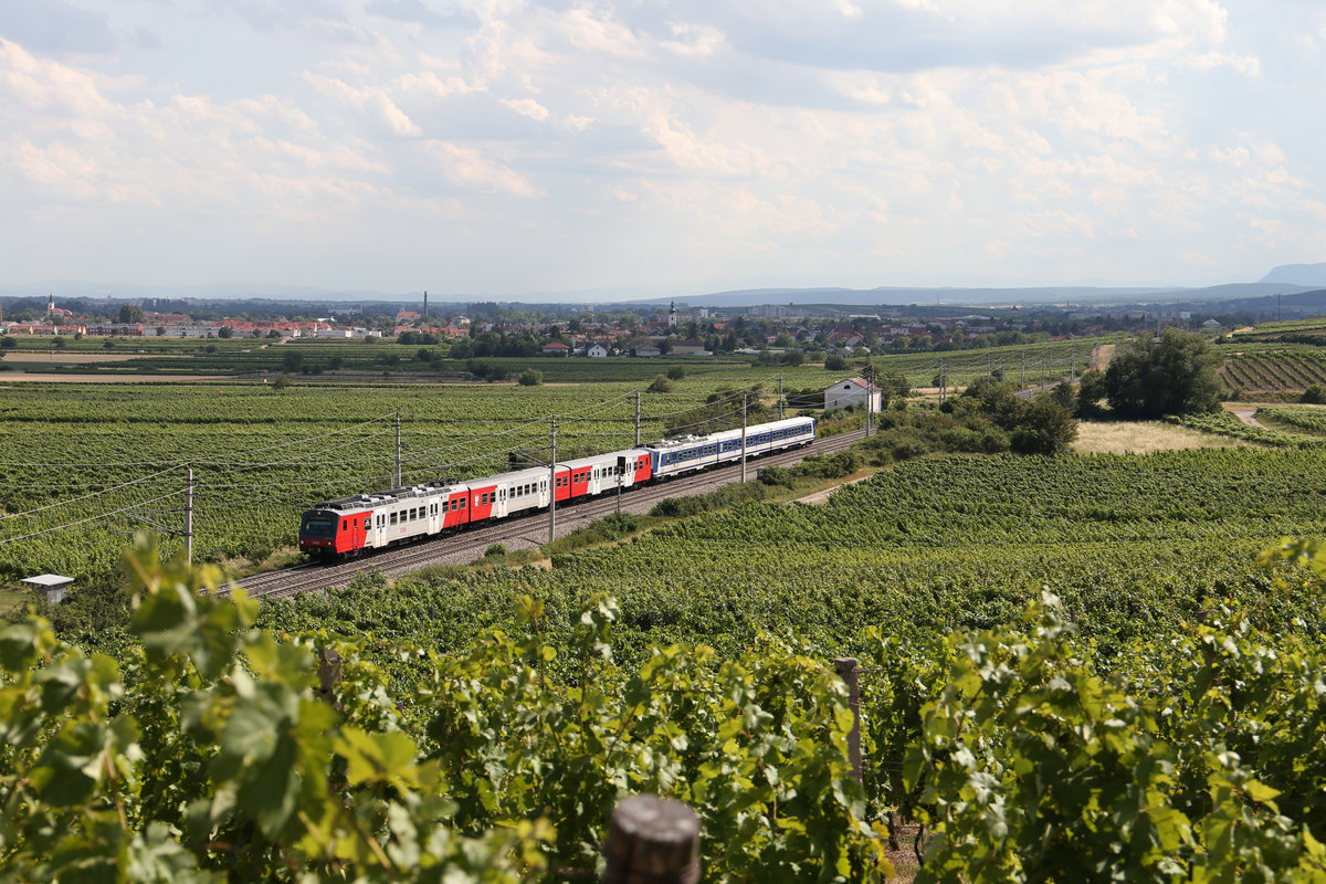 Ein farblich gemischtes 4020 Tandem fährt als S durch die Weinberge bei Pfaffstätten. 5.7.17