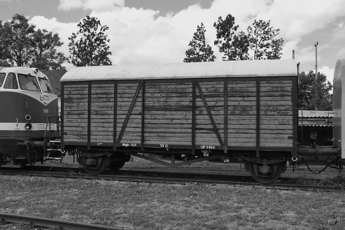Ein gedeckter Güterwagen Mitte August 2018 im Eisenbahnmuseum Weimar.