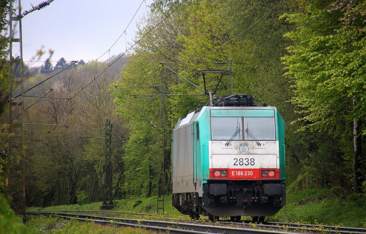 Ein Nachschuss von der Cobra 2838 sie fährt als Lokzug aus Aachen-West nach Belgien und fährt die Gemmenicher-Rampe hoch. 
Aufgenommen an der Montzenroute am Gemmenicher-Weg. 
Bei Regenwetter am Nachmittag vom 30.4.2016. 