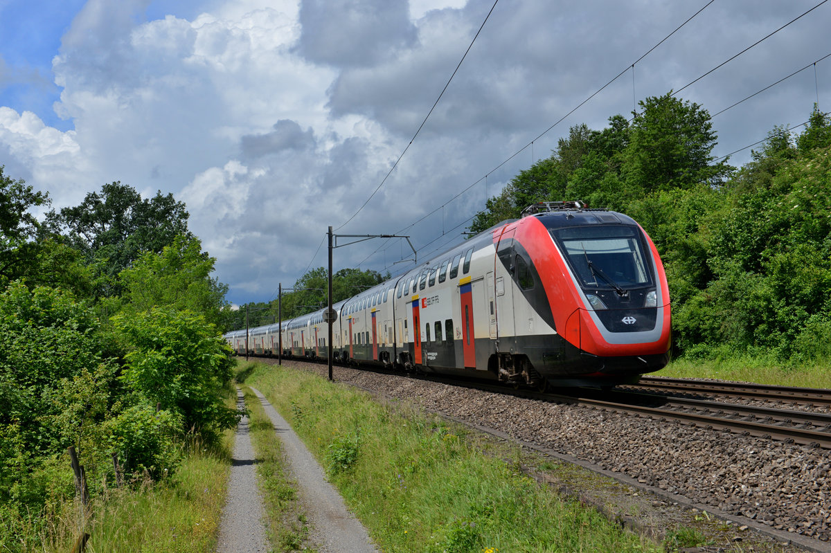 Ein RABe 502 am 18.06.2016 bei Mellingen. 