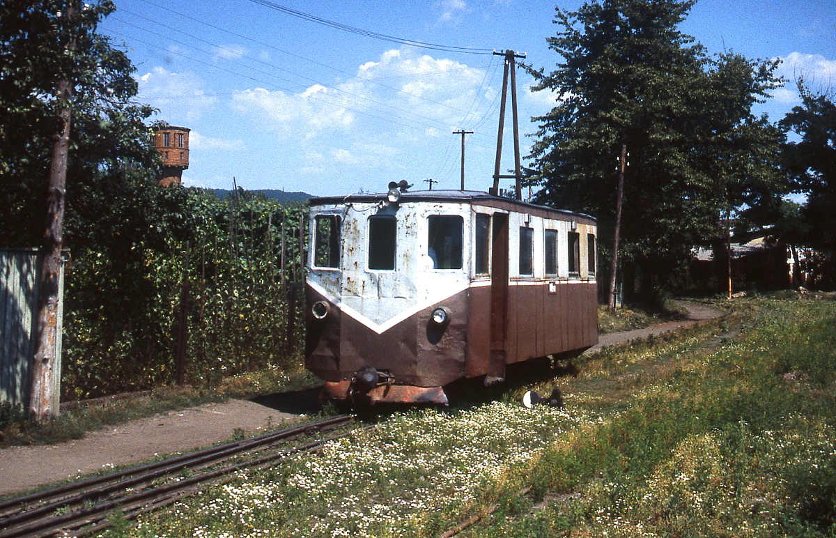 Ein Triebwagen der Waldbahn Ust-Tschorna am 01.08.1994 in Tereswa