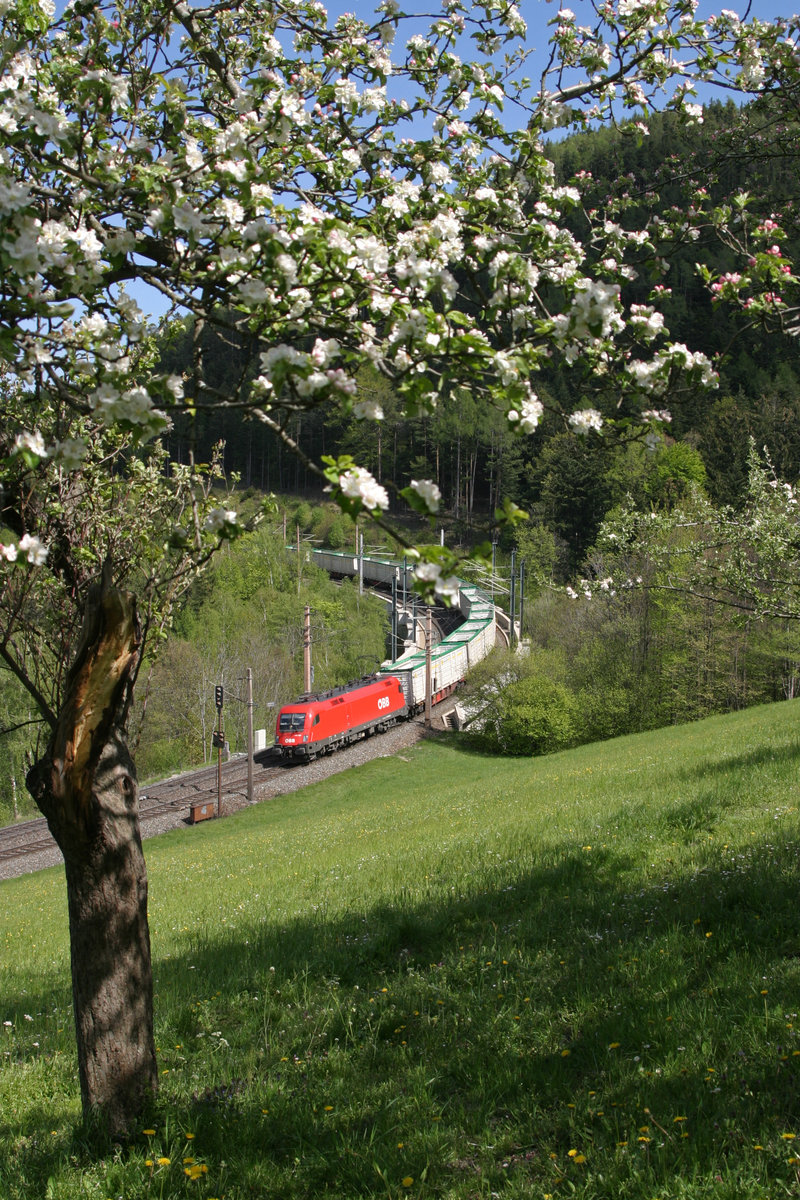 Eine 1016 bringt ihren Leer-GAG am 30.4.16 bei der Apfelwiese am Eichberg talwärts.