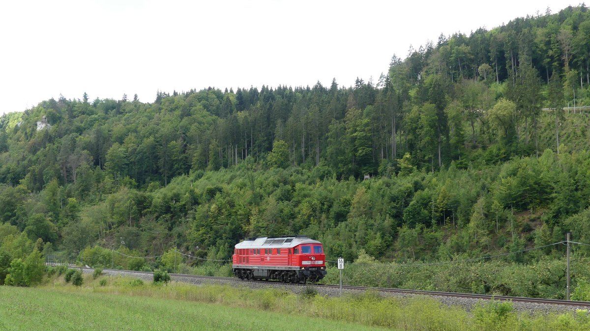 Eine Einzellok der Baureihe 232 ist in Richtung Sigmaringen unterwegs und konnte hier kurz vor Beuron aufgenommen werden. Aufgenommen am 11.8.2018 12:42