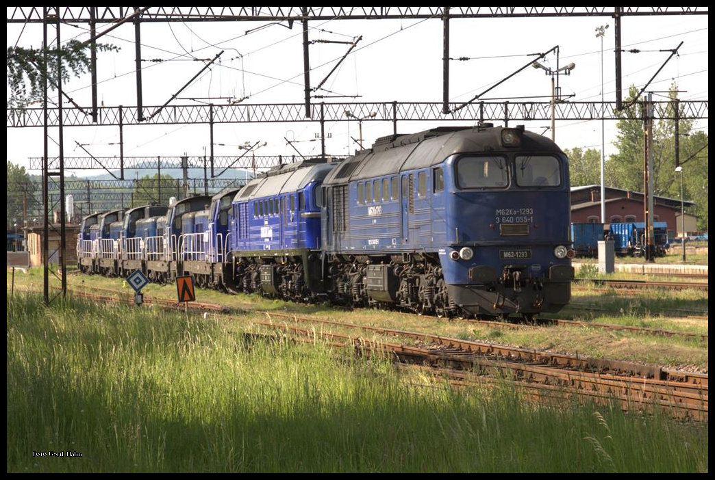 Eine lange Reihe schwerer Dieselloks von Orion Kolej stand am 22.05.2016 im Bahnhof Klodzko und hielt Sonntagsruhe! Vorn ist M 62-1293 zu sehen.