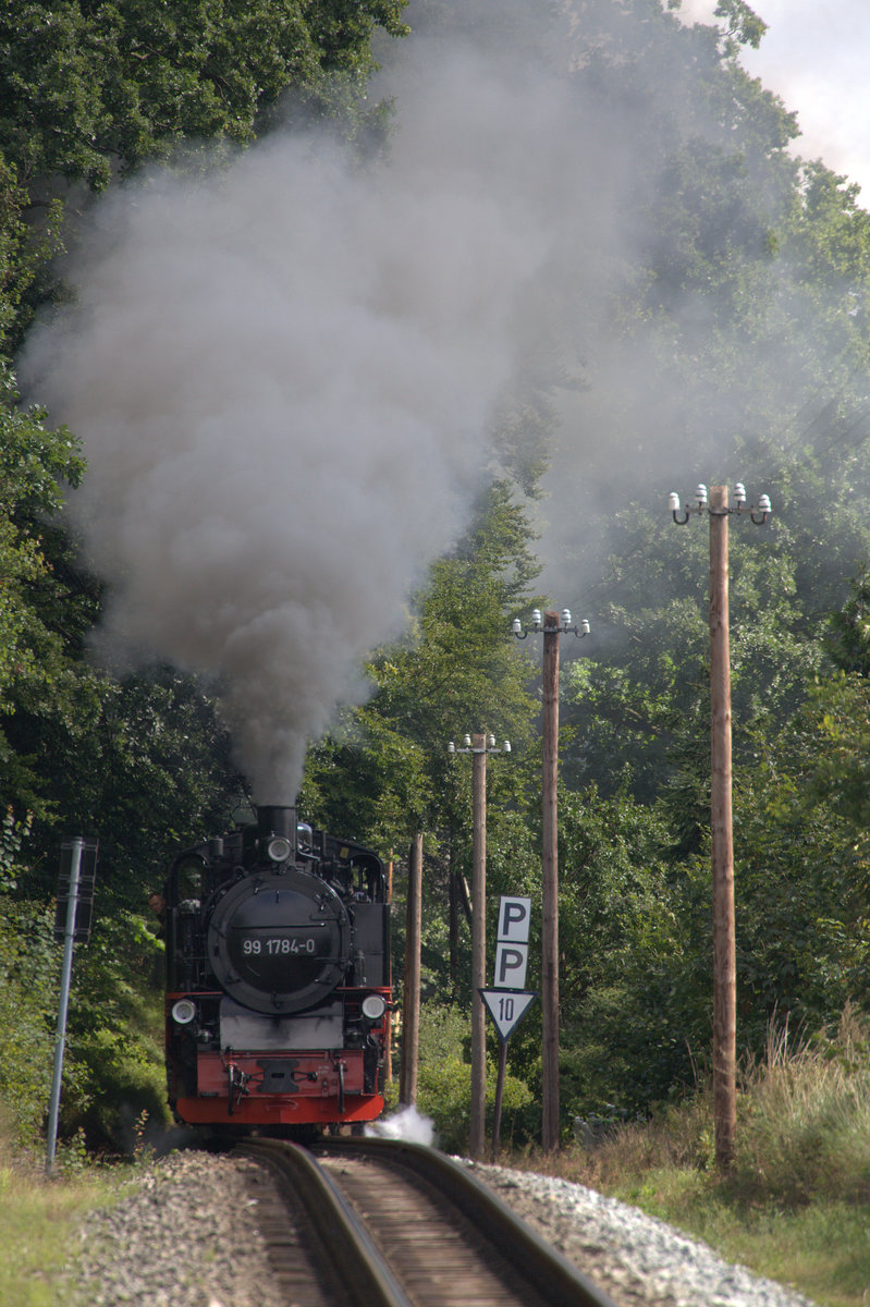 Eine Steigung kurz vor Seelvitz, 99 1784-0 nähert sich sicher mit weit ausgelegter Steuerung und eher weit geögffnetem Regler....(?) 18.08.2106 10:53 Uhr.