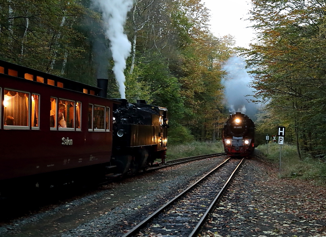 Einfahrt von 99 6001 mit P8957 aus Gernrode am Abend des 17.10.2014 in den Haltepunkt Sternhaus-Ramberg. (Bild 1) Eigentlich war ein Triebwagen angekündigt. Umso größer die Überraschung und Freude, als der Zug stattdessen mit Dampftraktion unterwegs war! Links wartet währenddessen 99 5906 mit einem IG HSB-Sonderzug auf die Freigabe zur Ausfahrt nach Gernrode. Da mußte selbst der letzte Tageslichtschimmer für ein Foto herhalten! ;-) 