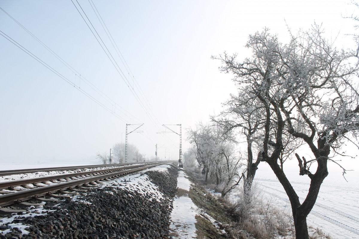 Endlich einmal ein bisschen Schnee an diesem 01.02.2014. Nachdem der Nebel dieser Nacht auch noch Rauhreif gebracht hatte präsentiert sich die Stecke Ingolstadt-Eichstätt kurz nach Gaimersheim in einer besonderen Stimmung. 