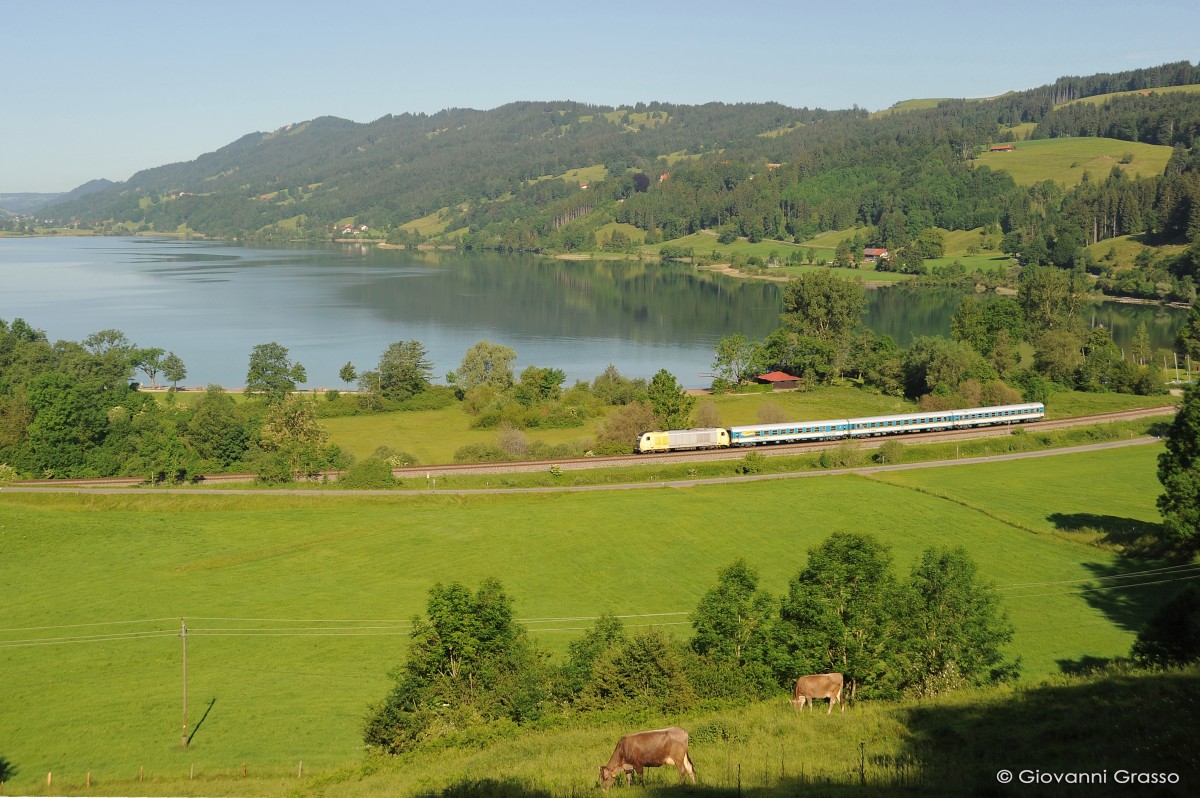 ER20 DISPOLOK ALEX - Großer Alpsee 11.06.2014