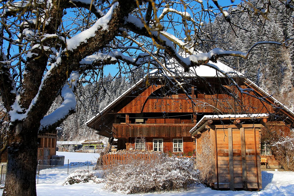 Es erwies sich als unglaublich schwierig, ein schönes Emmentaler Bauernhaus mit einem Bahnbild zu kombinieren; beides lag meist zu weit auseinander. Hier bei Trubschachen sieht man ganz klein im Hintergrund einen BLS  Lötschberger  unterwegs nach Luzern. 6.Januar 2017. 