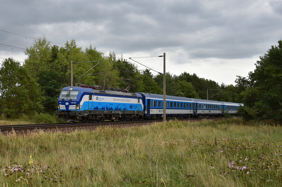 Eurocity kommend aus Richtung Schwerin, mit der 193 290-4 in Front. 3km östlich von Büchen, 28.08.2018.