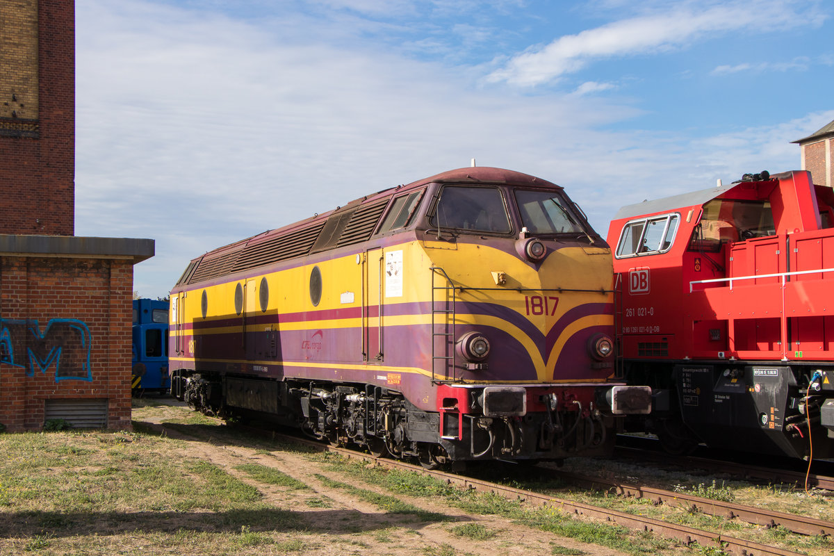 Familienfest bei dem Magdeburger Eisenbahnfreunden am 9. September 2018. Die CFL 1817 war einer der heißen Gäste. Im Hintergrund steht noch die DB 261 021-0.