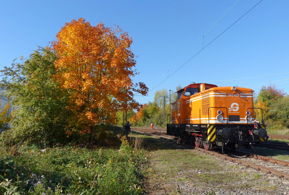 Fast so golden wie der Baum zeigte sich die Erfurter Gleisbau 345 413 am 13.10.2018 im Eisenbahnmuseum Weimar.