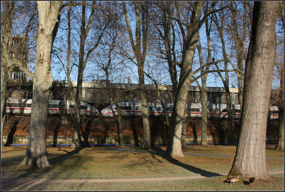 Fernzug hinter Bäumen -

Bei seiner Ausfahrt aus dem Stuttgarter Hauptbahnhof in Richtung München, fährt der ICE Valero D in Stuttgart zunächst am Unteren Schlossgarten entlang. Das Hellgrau diese Zuges sticht nicht so hervor, wie das Verkehrsrot der Nahverkehrszüge.

31.12.2016 (M)