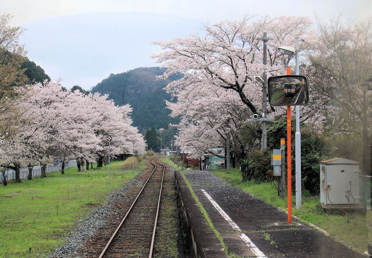 Frühling und Herbst in Japan: Tsukida, 7.April 2015. Triebwagen KIHA 120 338 im Spiegel. 