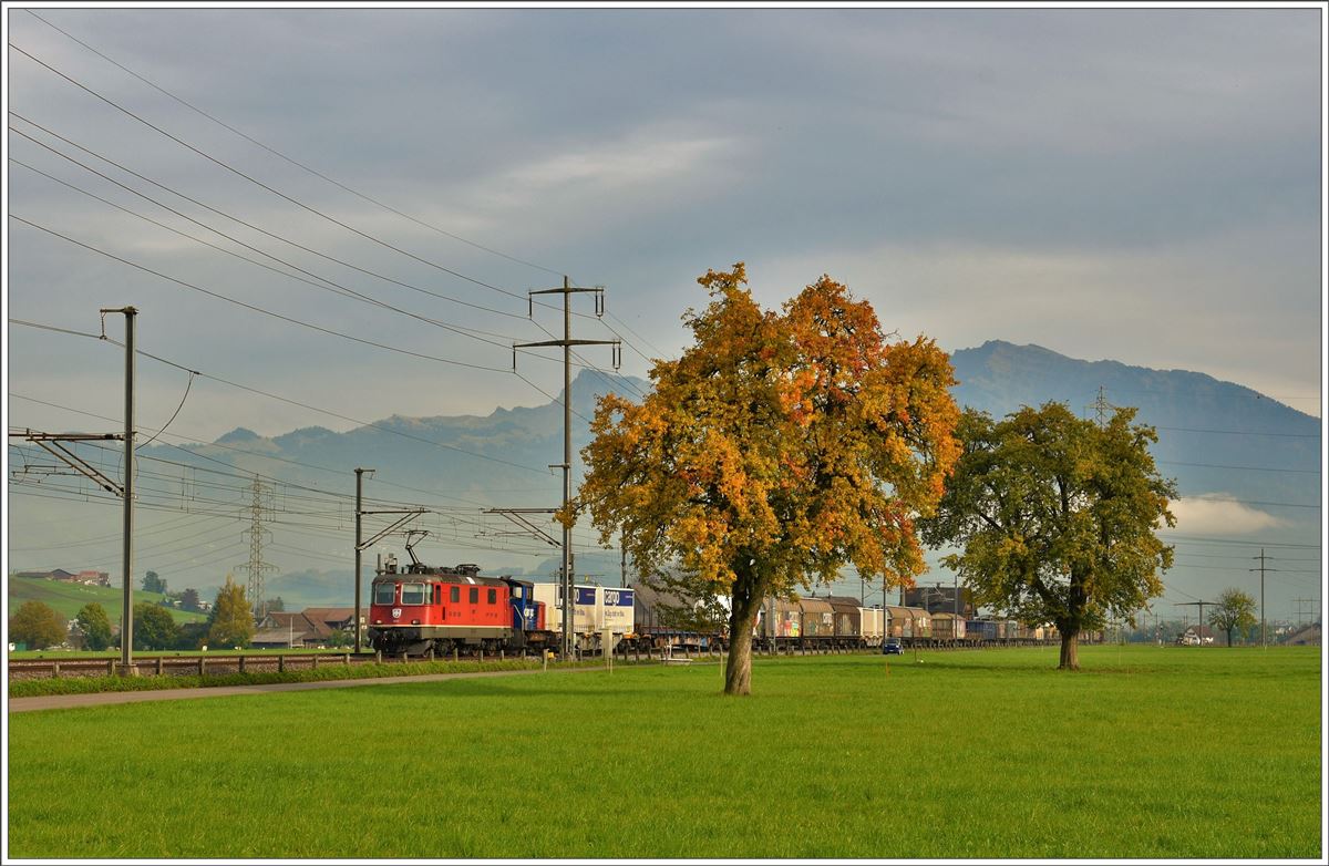 Güterzug mit Re 4/4 II 11257 in der March zwischen Schübelbach-Buttikon und Siebnen-Wangen. (24.10.2016)