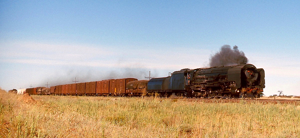 Hauptsächlich wurden die SAR-Lokomotiven der Reihe 25NC zwischen Kimberley und De Aar eingesetzt. An diesem Novembersonntag 1976 verkehrten auf dieser Strecke durch die Karoo tagsüber geschätzte 30 Güterzüge mit 25NC. Nachdem mein mitgebrachter Vorrat an Super-8-Filmen zu Ende war, machte ich noch einige Diaaufnahmen (worüber ich heute sehr froh bin). Hier ist eine unbekannte 25NC bei Modderriver Richtung Süden unterwegs.