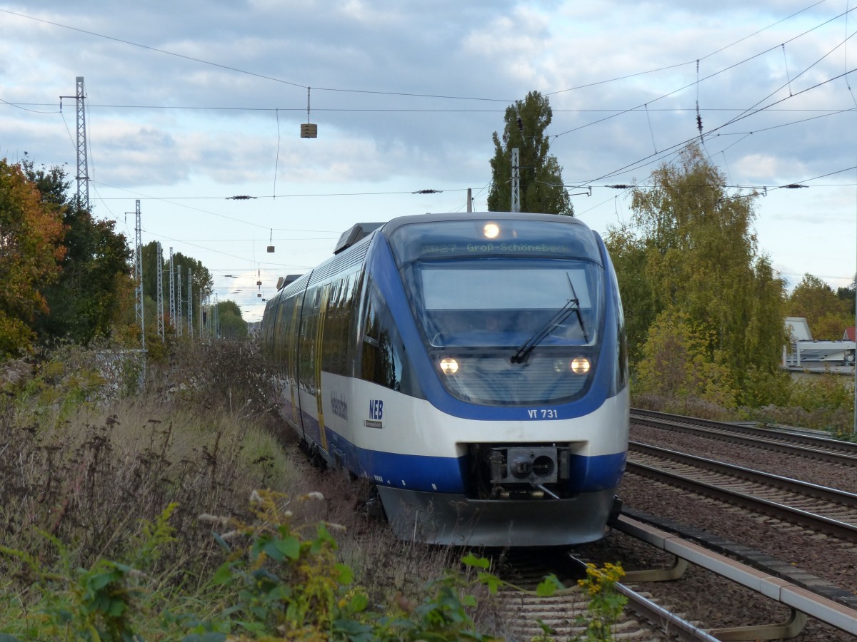 Heidekrautbahn auf S-Bahn Gleisen.NEB VT731 am 18.10.2013 in Berlin- Karow.