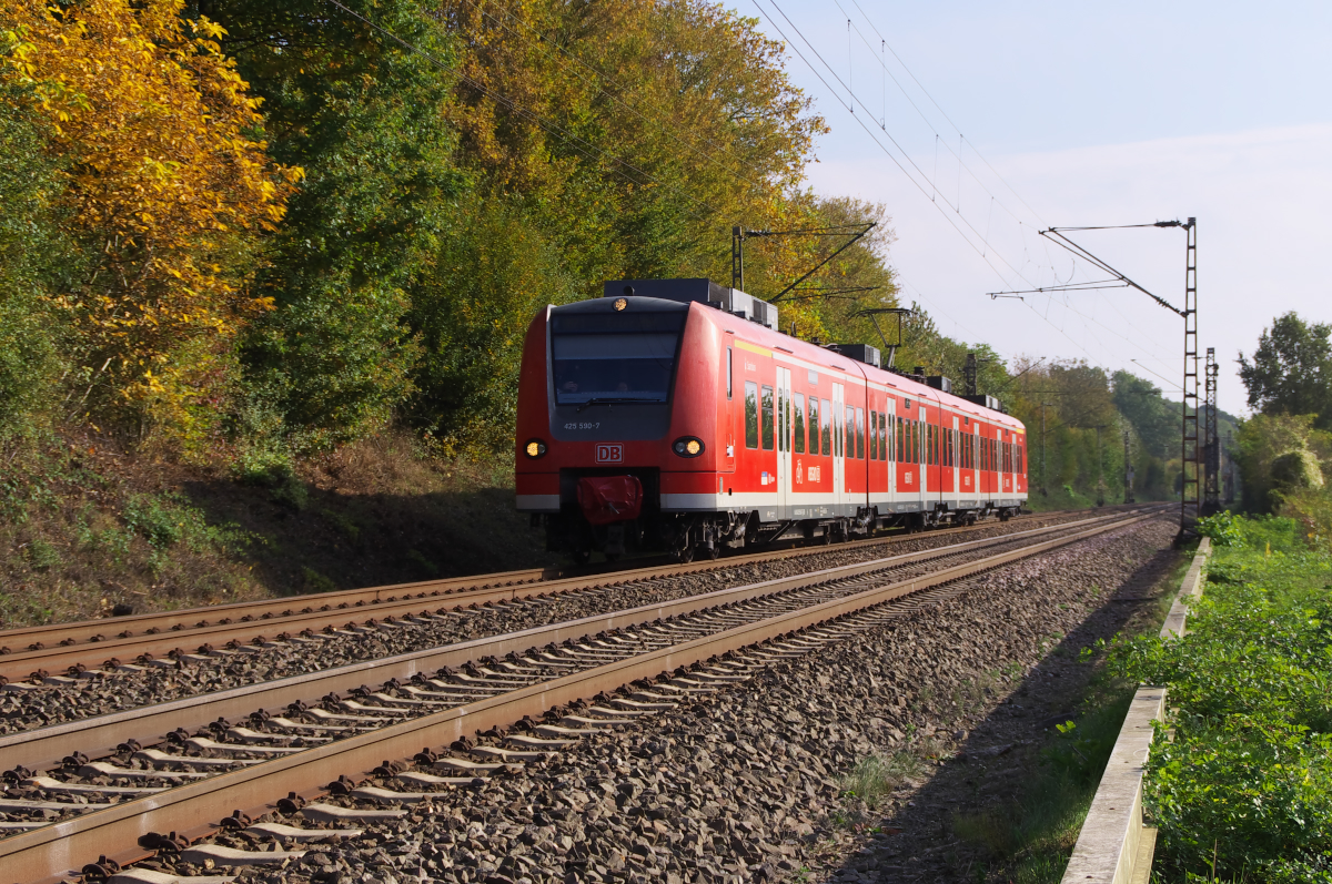 Herbst! Die Sonne lockte uns an die Strecke. 425 090 ist als RB Homburg - Trier unterwegs. Zwischen Saarfels und Merzig gibt es eine lange Gerade, die am Nachmittag im guten Licht liegt. Bahnstrecke 3230 Saarbrücken - Karthaus am 23.10.2016