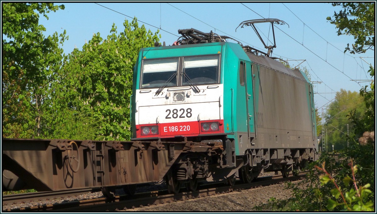 Hinterhergeschaut und bildlich festgehalten! Die belgische 2828 (Cobra) im Gleisbogen bei Rimburg als Umleiter auf der Kbs 485 im April 2014. 