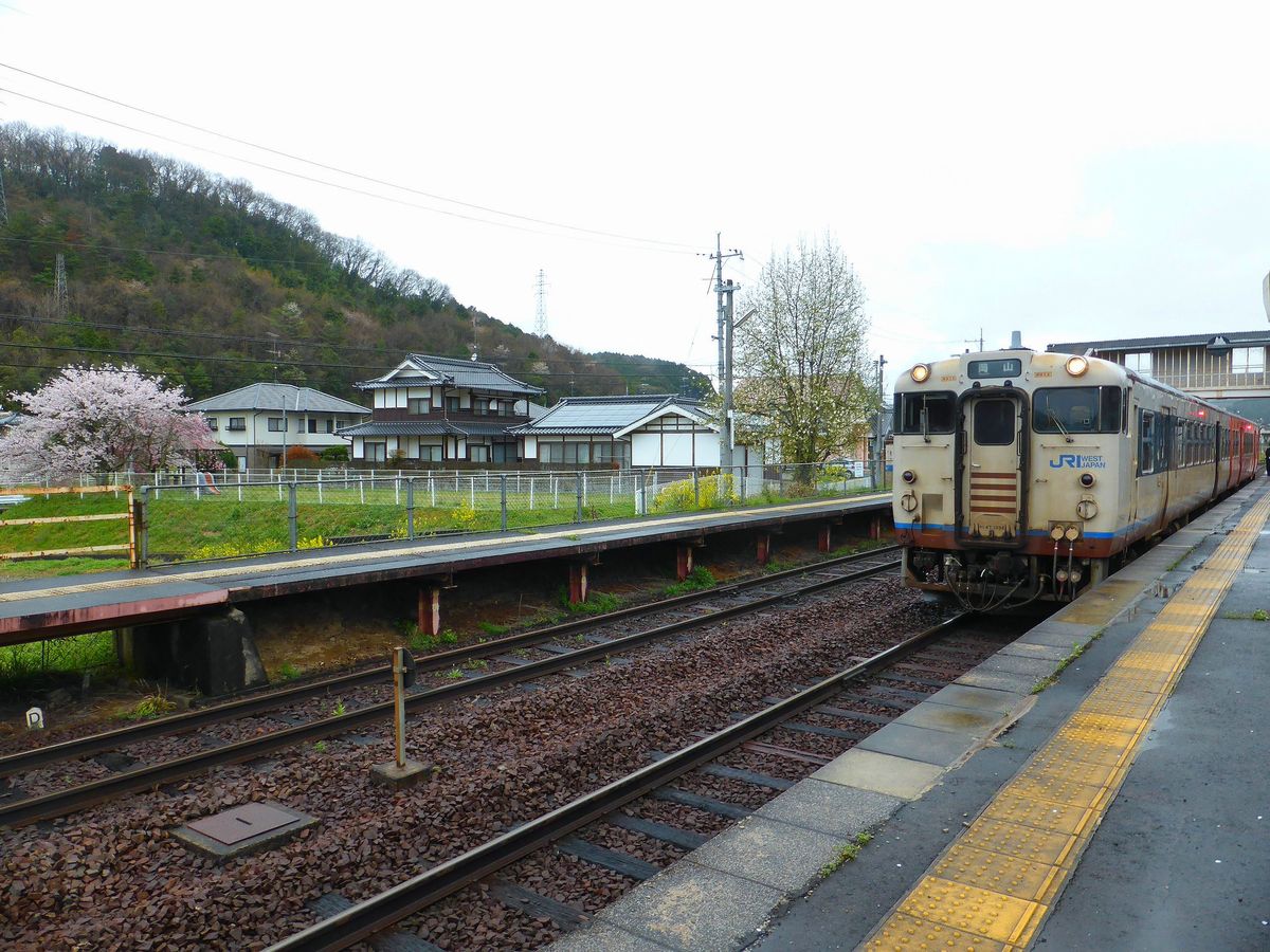 Im äussersten Westen der japanischen Hauptinsel Honshû: Als die einzelnen westjapanischen Regionen noch ihren eigenen Anstrich hatten - Triebwagen KIHA 47 1036 auf der Strecke von Tsuyama in den Bergen hinunter nach Okayama. Station Yuge, 6.April 2015.  