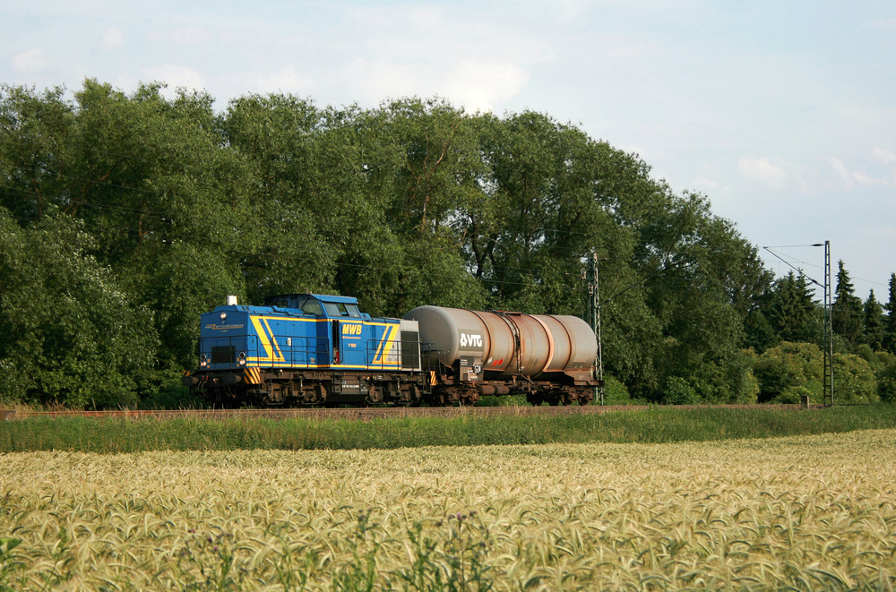 In den Feldern zwischen Hürth und Brühl entstand diese Aufnahme von V 1801 der Mittelweserbahn.
Die Lok war auf dem Weg von Brühl-Vochem nach Köln Eifeltor.
Aufgenommen am 18. Juni 2008.