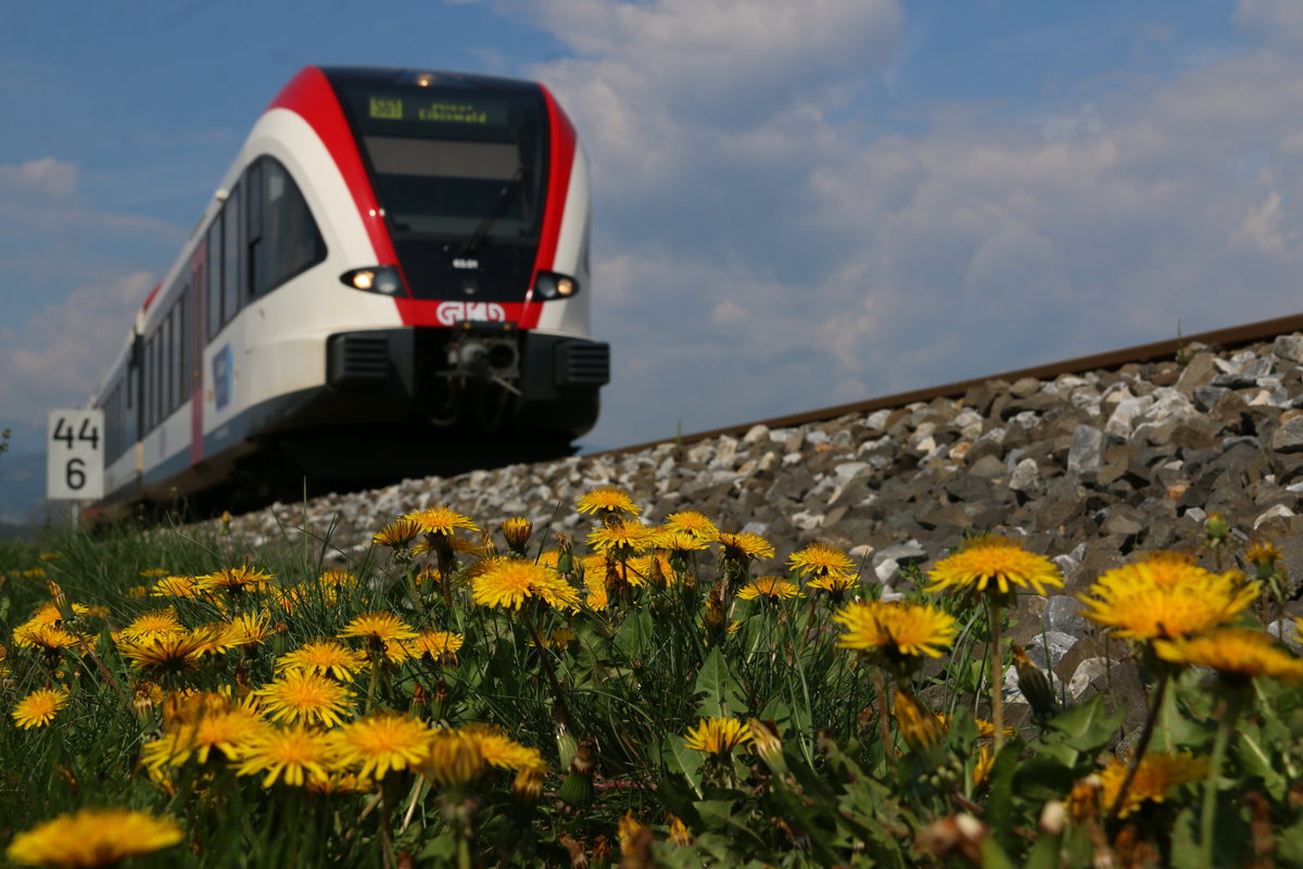 In der Wiese zu liegen und auf den Zug zu warten löst ´bei so manchem Verwunderung aus ,... 
Für mich ist es Entspannung ... 
14.04.2017 bei Dietmannsdorf. 